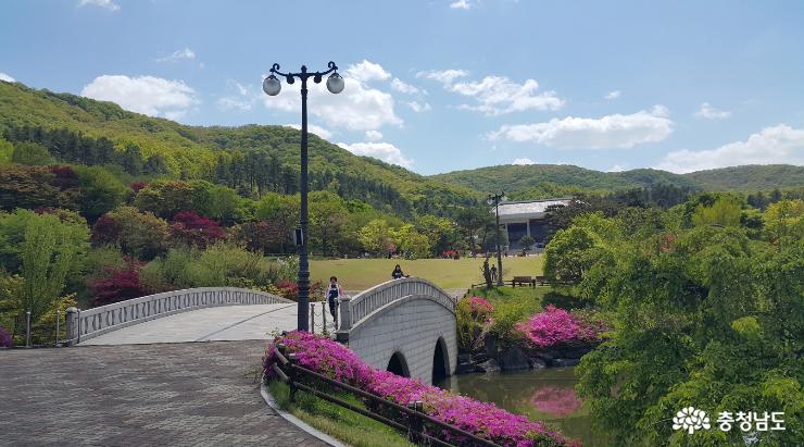 금강수목원·산림박물관 ‘봄꽃의 대향연’ 사진