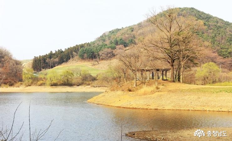 봄 무릉도원 ‘서산 용유지’ 사진