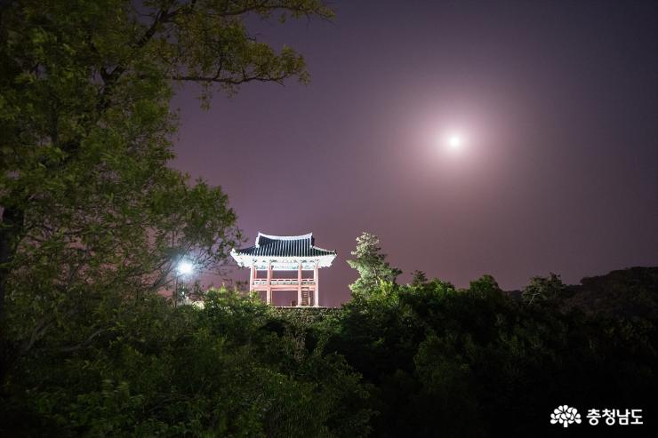 공주 공산성 5월의 밤풍경 사진