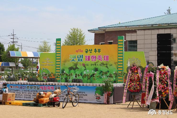 ‘제11회 금산 추부깻잎 체험 축제’가 펼쳐진 추부초등학교 운동장 메인무대 