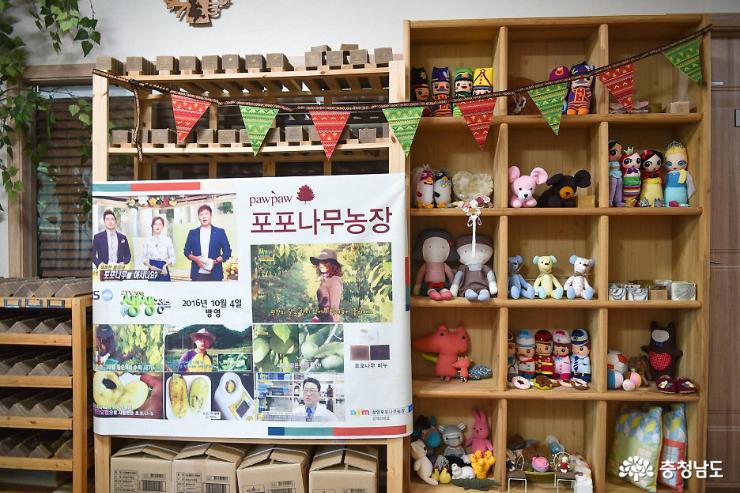 포포나무 이미지