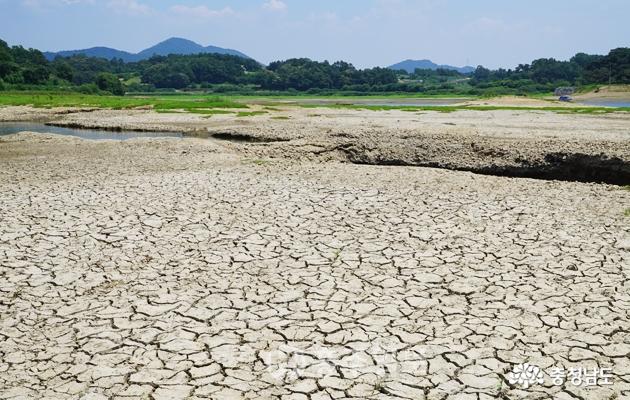 극심한 가뭄 “논밭·농심이 탄다” 사진