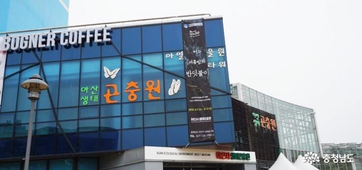 사막여우야 안녕?… 볼거리 많은 아산 생태곤충원 사진