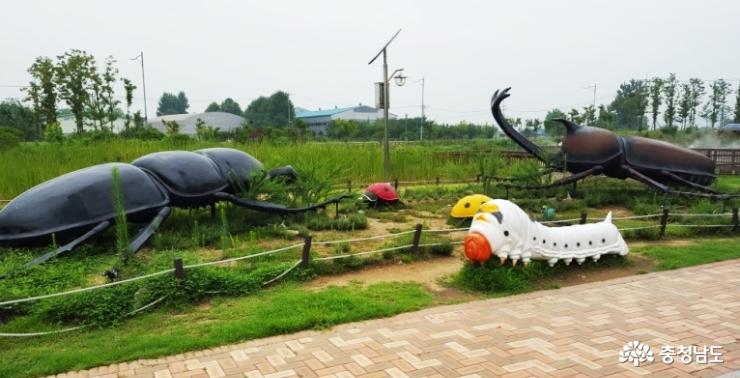 사막여우야 안녕?… 볼거리 많은 아산 생태곤충원 사진