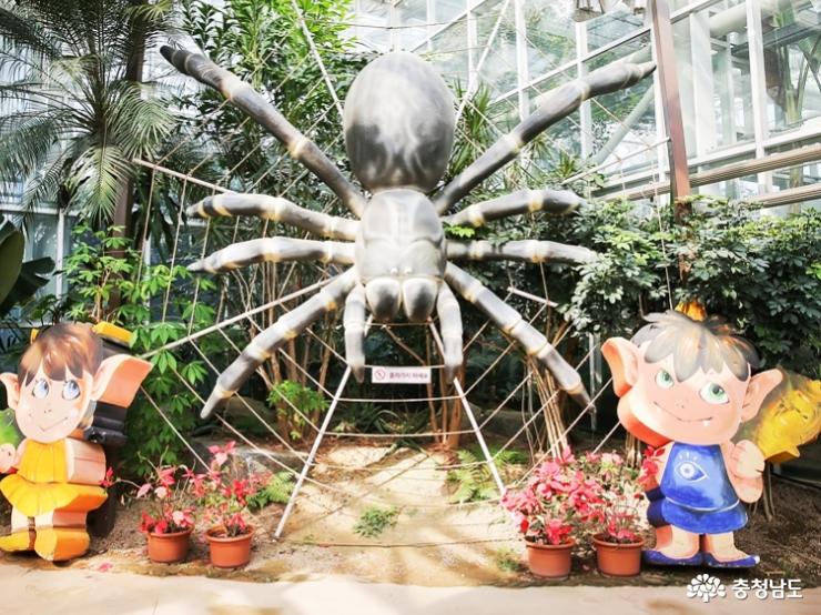 사막여우야 안녕?… 볼거리 많은 아산 생태곤충원 사진