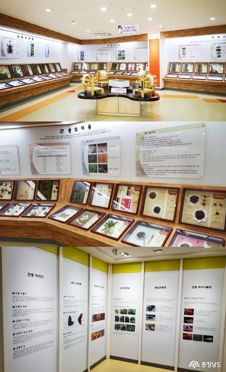 사막여우야 안녕?… 볼거리 많은 아산 생태곤충원 사진