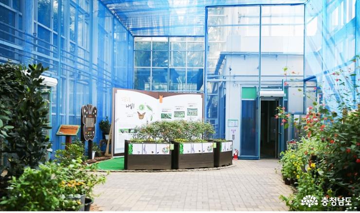 사막여우야 안녕?… 볼거리 많은 아산 생태곤충원 사진