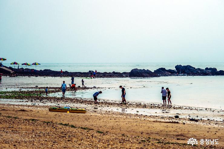 흐린날, 무창포 해수욕장의 여름 바다 사진