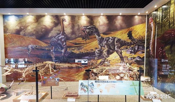 신비로운공룡의세계안면도공룡박물관 2
