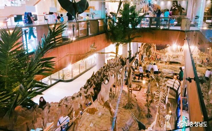 신비로운공룡의세계안면도공룡박물관 3