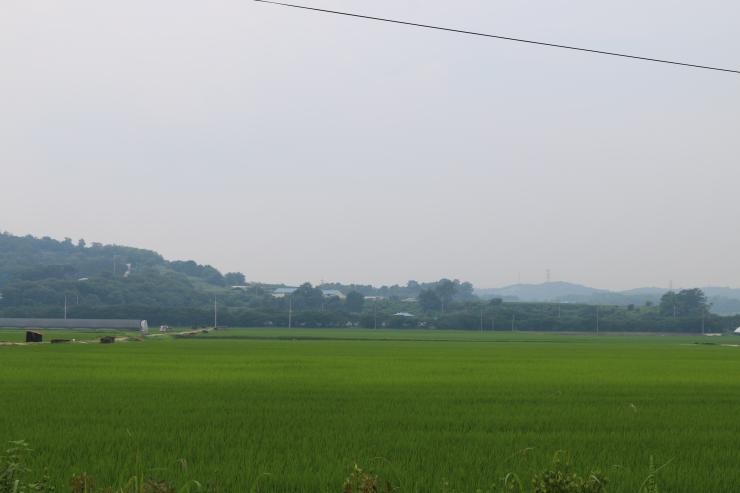 충남의농촌여름풍경 3