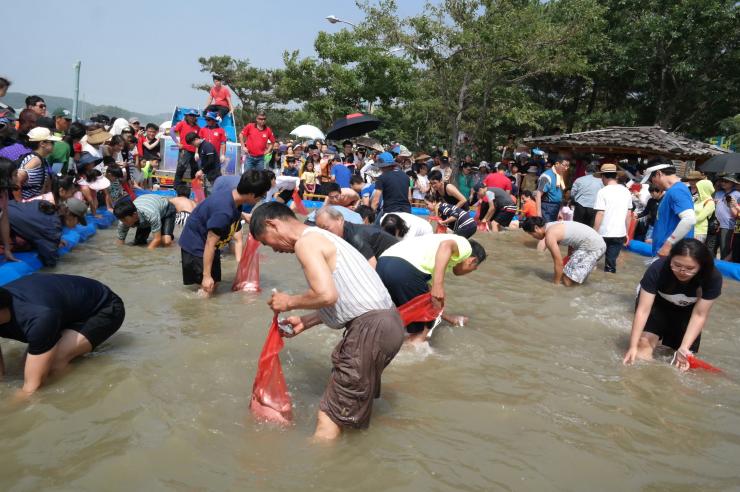 이번 주말은 무창포 신비의 바닷길 축제로