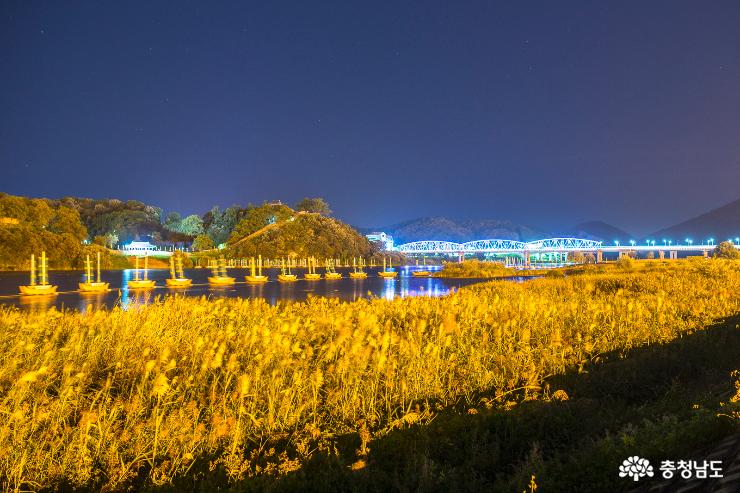 화려하게 빛나는 금강의 야경 사진