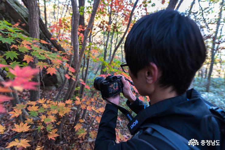 가을 추천 산행지,  대둔산 도립공원 사진