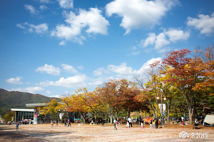 가을이 내려앉은 독립기념관 사진