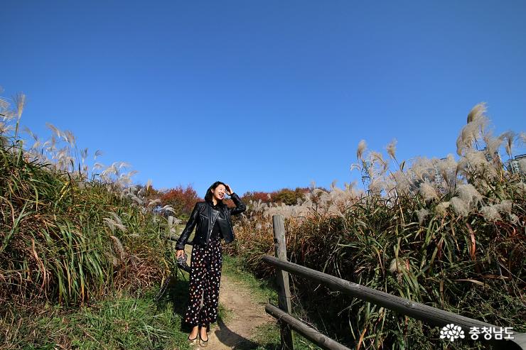 가을 인생사진은 천안 아산 지산공원에서 사진