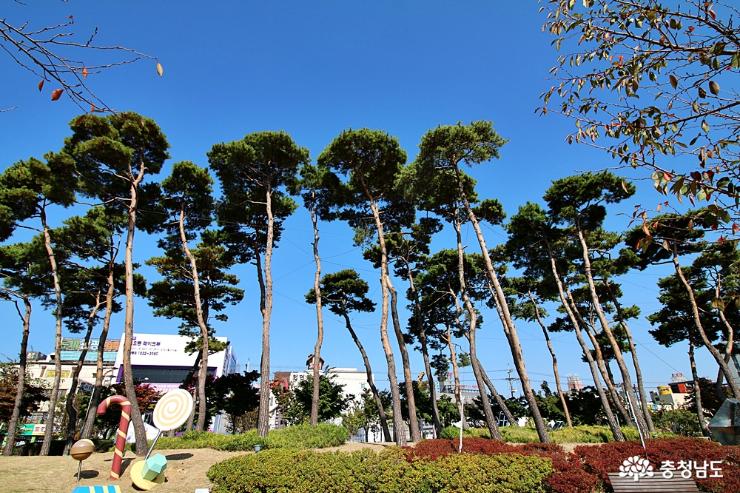 서산시민들의휴식처중앙호수공원 6