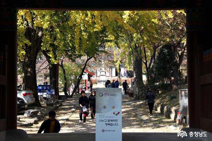 계룡산 신원사에서 가을풍경 만끽 사진