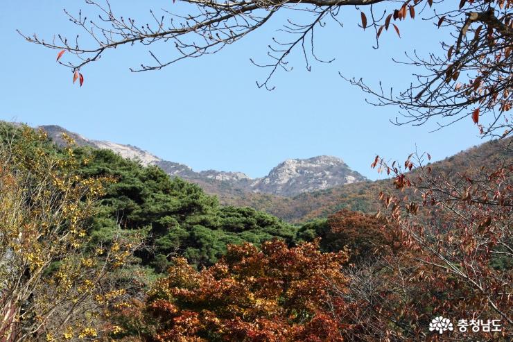 계룡산 신원사에서 가을풍경 만끽 사진
