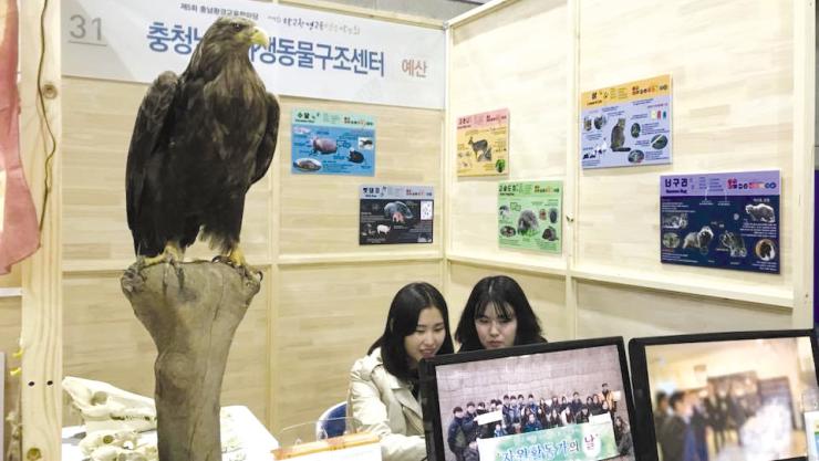 환경교육한마당에 참여한 충남야생동물구조센터의 전시 부스. 
