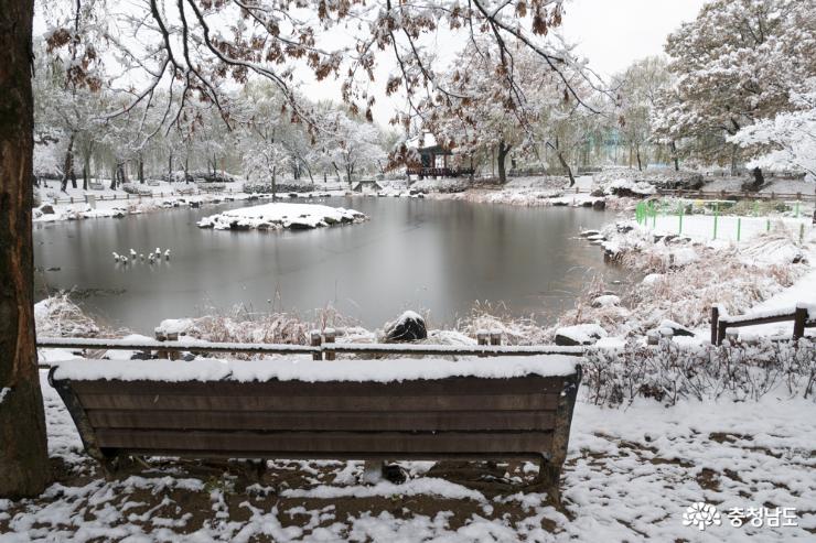 새하얀 눈이 내린 천안삼거리공원 사진