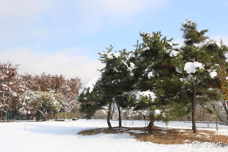 천안 남산공원의 겨울풍경 사진