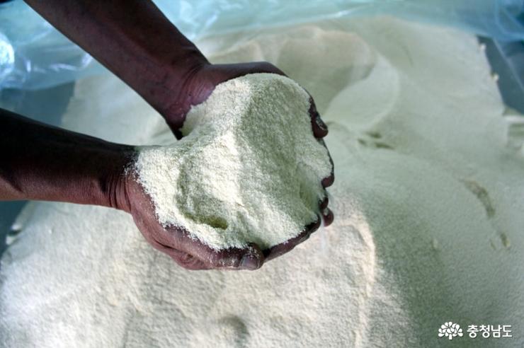 Taean salt as a “healing agent”… Marine healthcare “hits its stride”