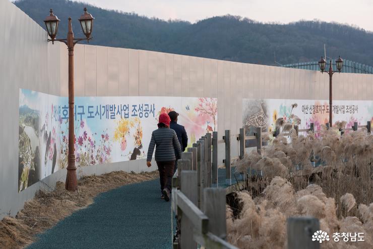 아산 신정호의 겨울 그리고 노을 사진