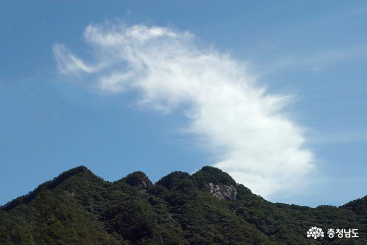 용과 닭 구름을 만난 신비로운 계룡산 사진