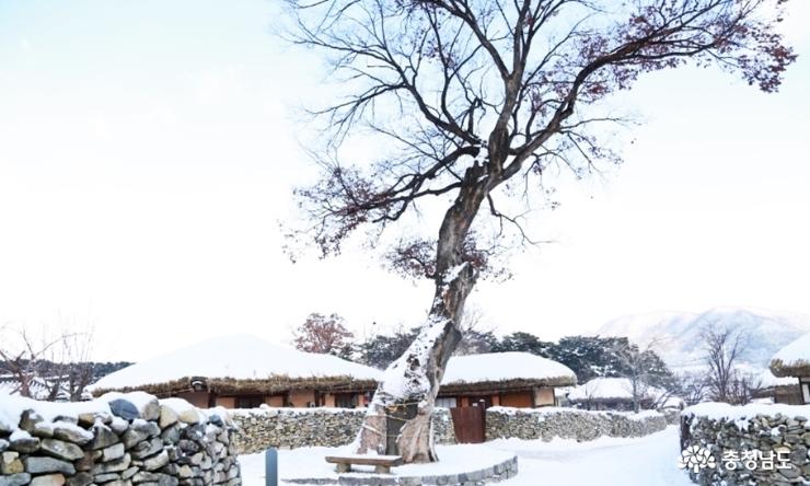 눈 내린 아산 외암 민속마을 사진