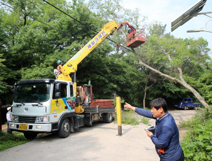  ‘행정119’팀 활동 모습으로 지난해 6월 백화산 피해목을 제거하고 있다.