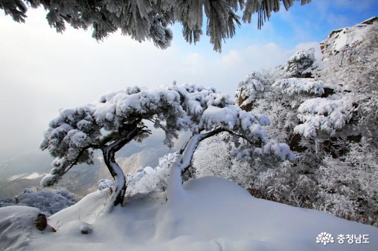 아름다운 ‘눈의 나라’ 대둔산 사진