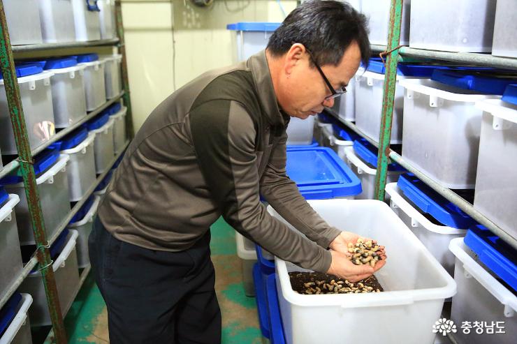 굼벵이로 생산·가공·판매 '곤충 6차산업' 일구다 사진