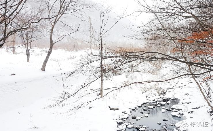 눈내린 겨울, 아름다운 만수산 무량사