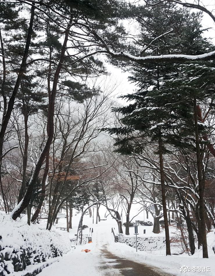 눈내린 겨울, 아름다운 만수산 무량사 사진