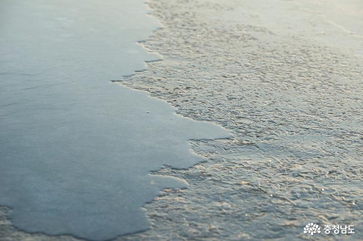 최강 한파에 꽁꽁 얼어붙은 금강 사진