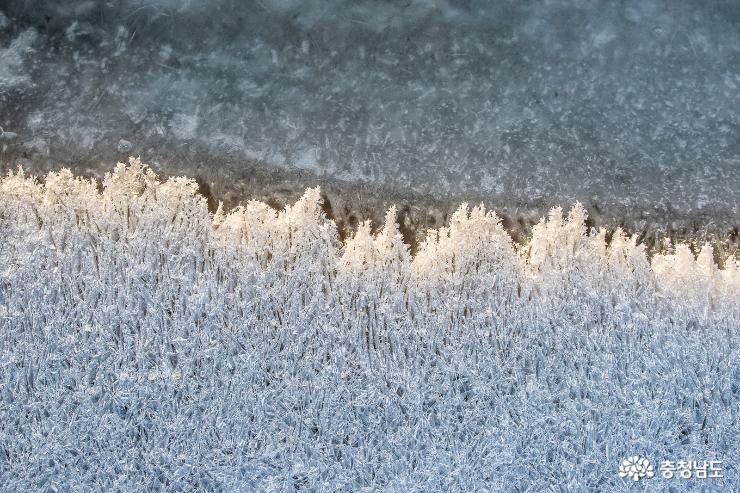최강 한파에 꽁꽁 얼어붙은 금강 사진