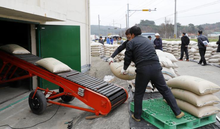 ‘벼 종자 400톤 확보’… 고품질 쌀 생산 앞장!