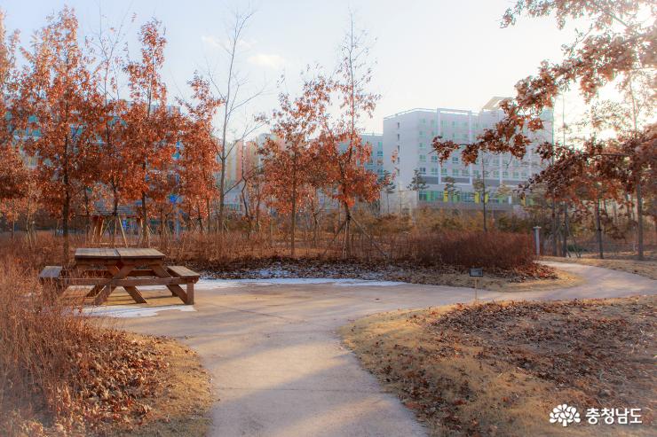 충남도청내 시민을 위한 행복 나눔의 숲 사진