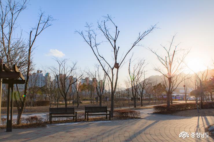 충남도청내 시민을 위한 행복 나눔의 숲 사진