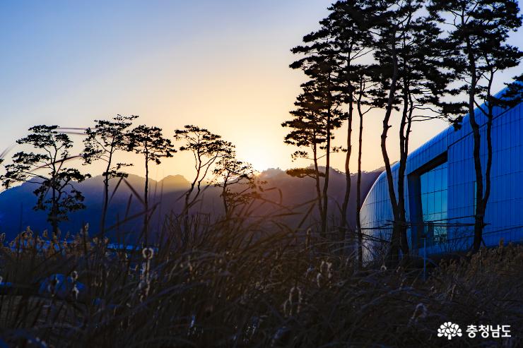 충남도청내 시민을 위한 행복 나눔의 숲 7