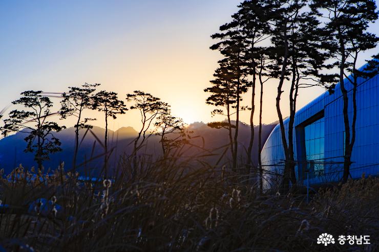 충남도청내 시민을 위한 행복 나눔의 숲 사진