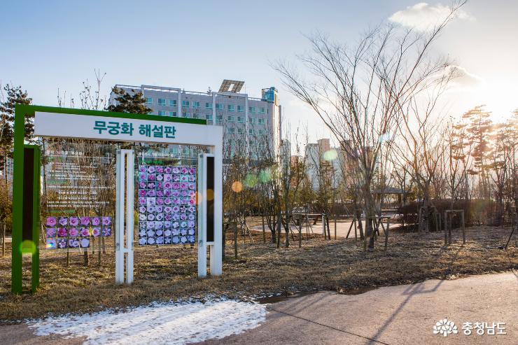 충남도청내 시민을 위한 행복 나눔의 숲 2