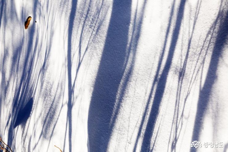 3월의 눈꽃, 가야산 설국 산행기 사진