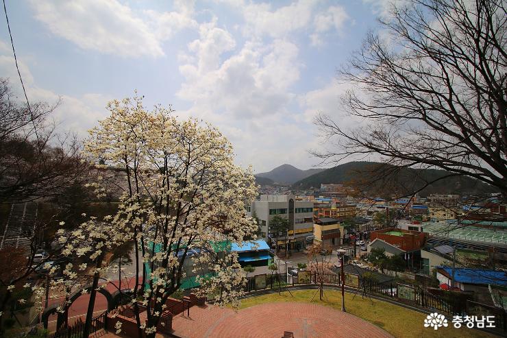봄빛 공주중동성당 그리고 국고개문화거리 사진