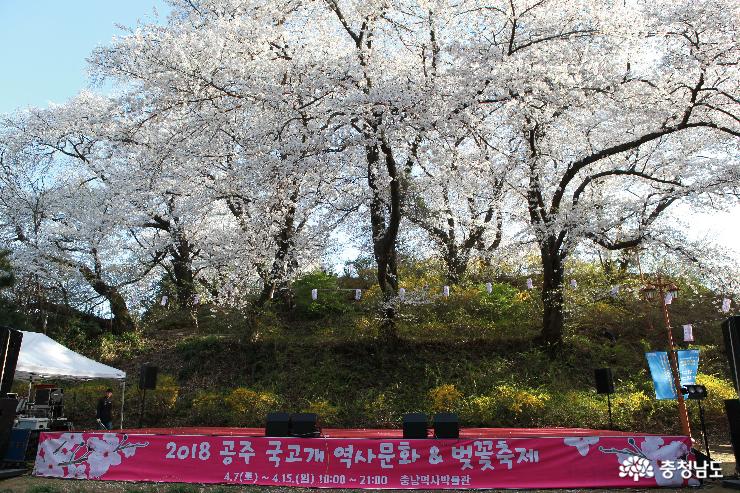 공주 '국고개 역사문화 ＆ 벚꽃축제'가 열리고 있는 '충청남도 역사박물관' 