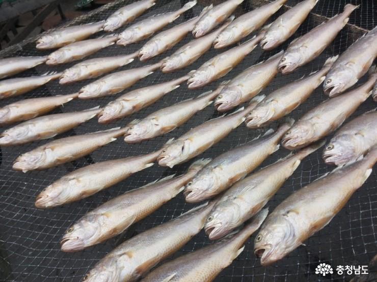 사는이야기 - 대천항은 맛있고 즐겁다 - 충남넷 미디어 대천항은 맛있고 즐겁다