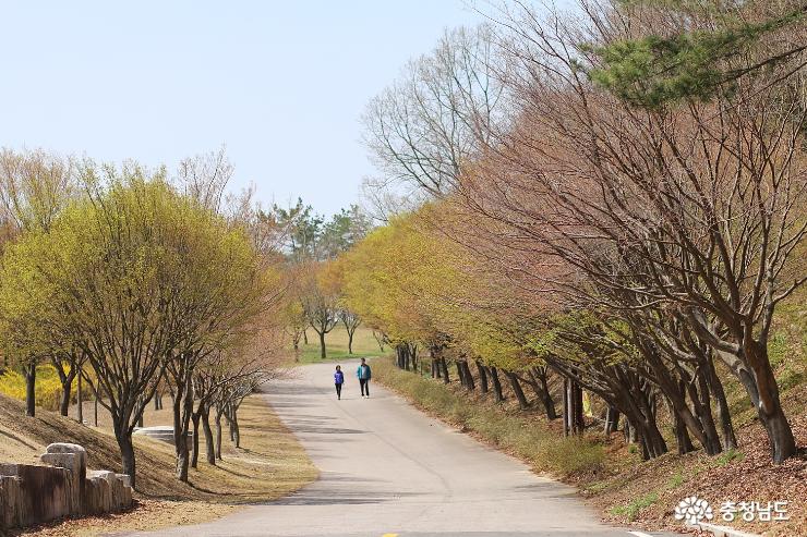 봄에는꽃피는독립기념관으로 7
