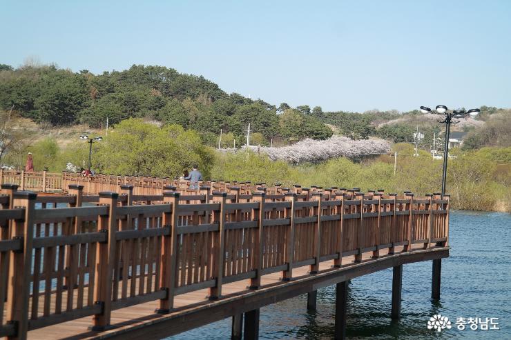 탑정호 수변생태공원