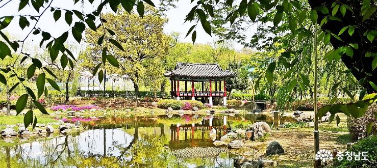역사 담긴 천안삼거리공원의 봄 사진